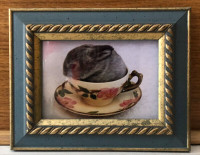 Baby Lewis in Franciscan Desert Rose teacup photo.  Framed.