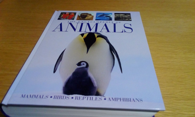 Encyclopedia of Animals Coffee Table Book in Non-fiction in Winnipeg