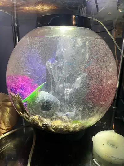 Bio orb fish tank as is, View more