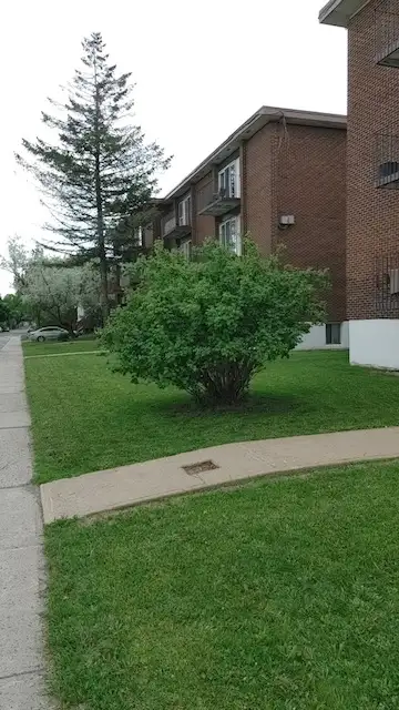 Bel et grand Appartement 3 1/2, situé dans un immeuble propre et bien entretenu. Location de choix,...