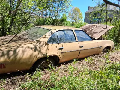 This is a car found in a berry patch. There are many good parts on it and the engine is there. The l...