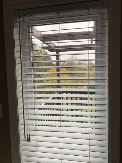Levolor Window Shades, View more