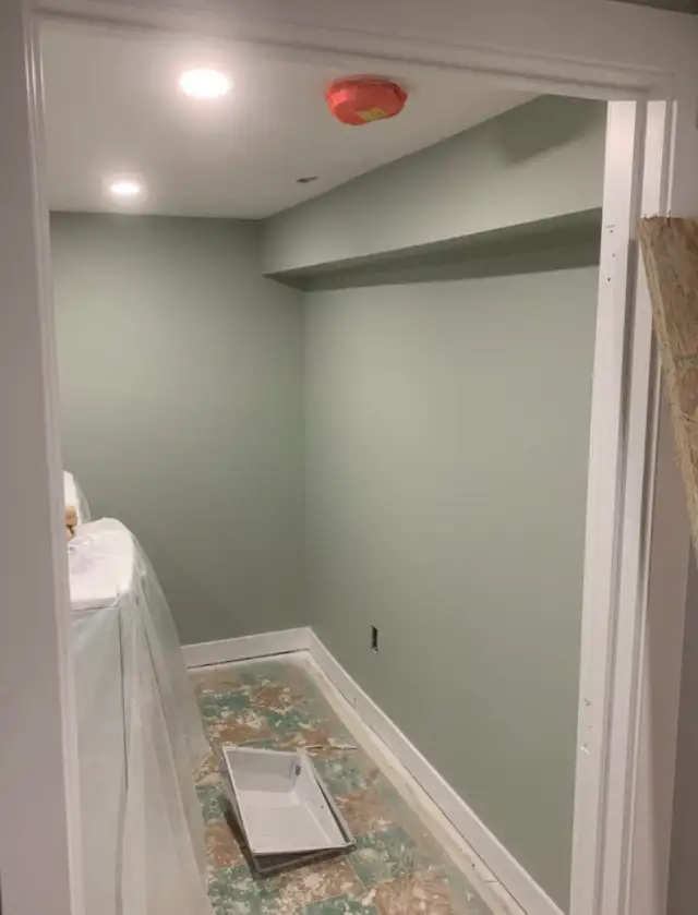 reliable house painter566087694565386242
