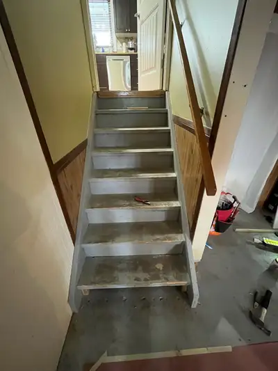 Professional renovation. Carpentry, painting, flooring, cabinets, fencing and decking.
