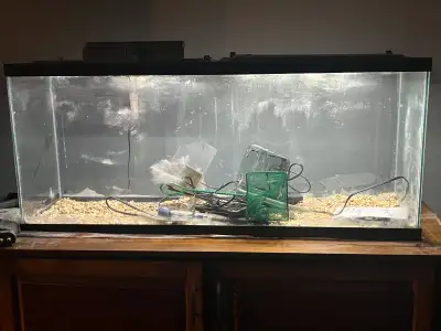 55 gal Aquarium (4’ L x 1’ 1 W x 1’ 9 H) with hoods and LED Lights (9/10 functioning) 2 heaters, 2 f...