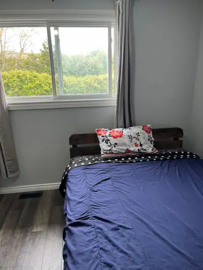 Room for rent female only Very clean room have new queen mattress, full internet, Tv , fridge, micro...