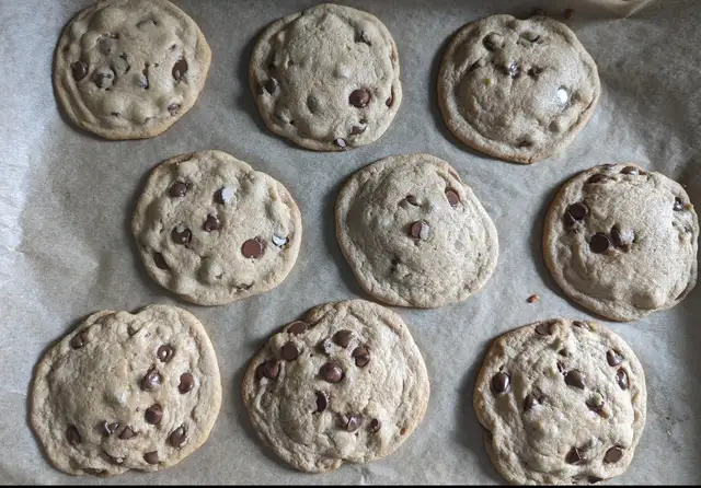 Homemade Cookies 64700584828929120