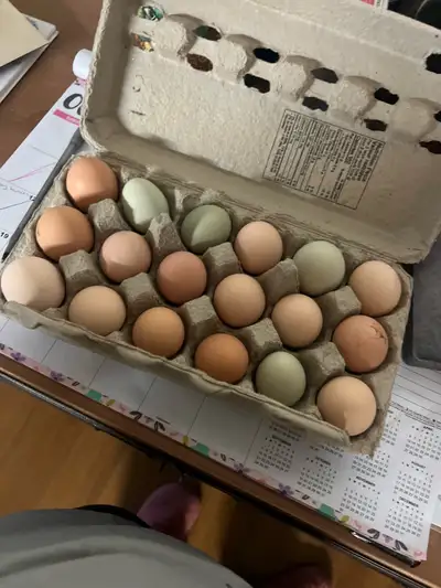 Farm fresh eggs, View more