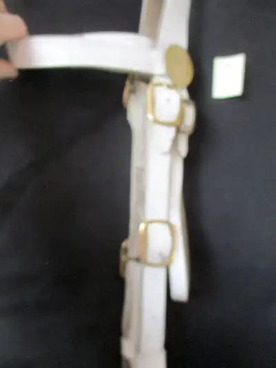 Draft in-hand show bridle with bit & lead, Dawson Crk, will ship, View more