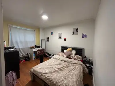 July 1st: Female Roommate Wanted: Davenport and Dovercourt area