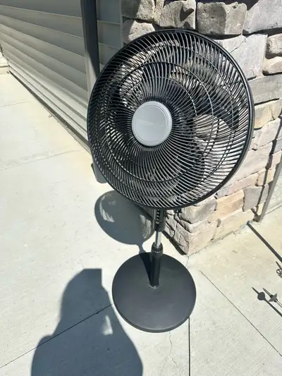 BLACK FLOOR FAN, View more