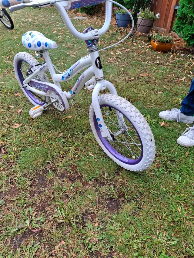 Nakamura Dream Kids Bike