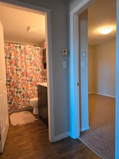 Bedroom for rent in 2 bedroom condo in downtown Nanaimo. Ocean views. Can be furnished with a basic...