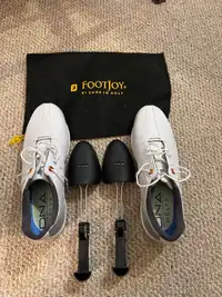 FootJoy Shoes size 10