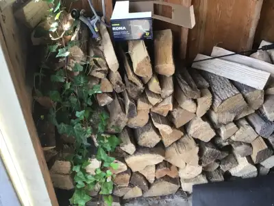 Seasoned Dry Firewood, View more