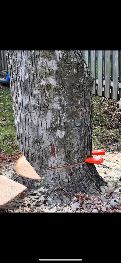 V Tree Removal, View more