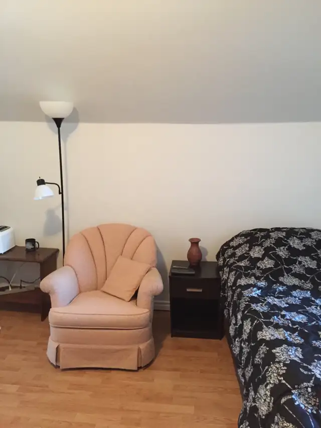 $650 Portage la Prairie Room for rent, upper loft in Room Rentals & Roommates in Portage la Prairie - Image 3