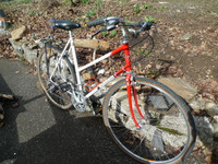 56cm Marinoni "stepthrough" (aka"Anglais") touring bike Columbus