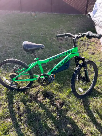 Vélo Nakamura. 20 pouce, un pneu à changer.