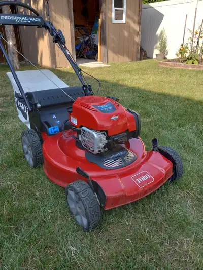 Lawn Cutting, View more