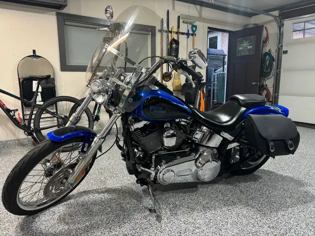 2008 Softail Custom  in Street, Cruisers & Choppers in Edmonton - Image 2