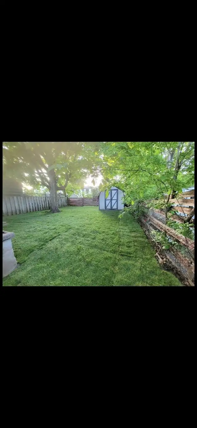 Snow Removal64529142964482123