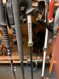 walking sticks /hiking /ski poles