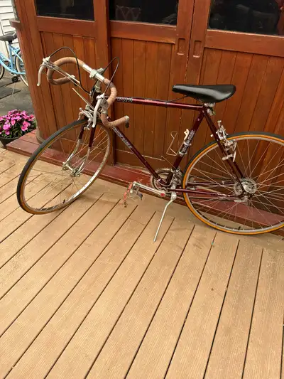 VINTAGE MONTE CARLO 10 SPEED PRO, View more