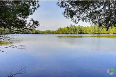 OPPORTUNITÉ RARE : Propriété de 150 Acres en Bord de Lac, à Wentworth-Nord, Québec Découvrez une opp...