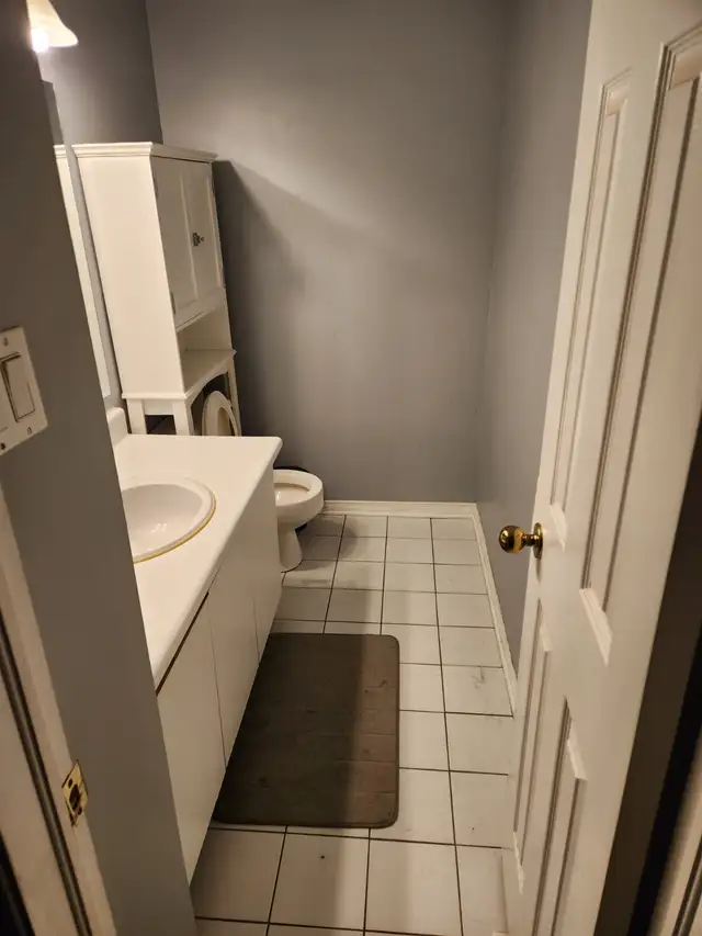Pet friendly shared accommodations working professional/student406757104608225280