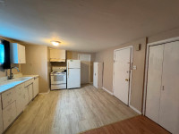 Spacious 1-bedroom apartment for rent with 750 square feet.