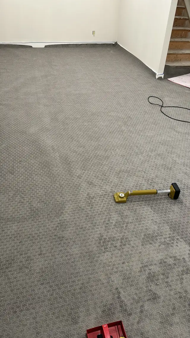 Carpet Supply and Installation63005664941313124