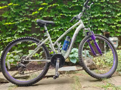 For Sale: Eye-Catching Schwinn Women's Mountain Bike, View more