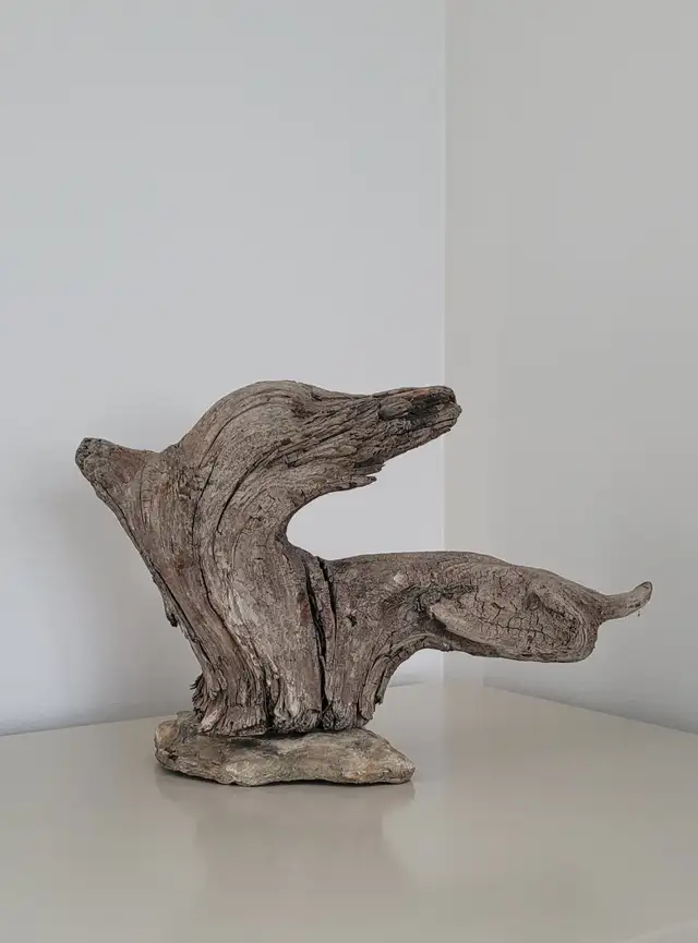 Bois Flotté Accessoire sur base Aquarium Driftwood w/base in Hobbies & Crafts in Laval / North Shore - Image 4