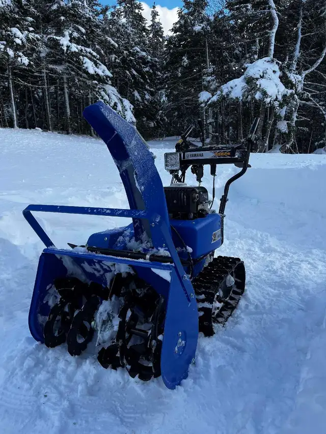 Snow removal for cottage or seasonal property