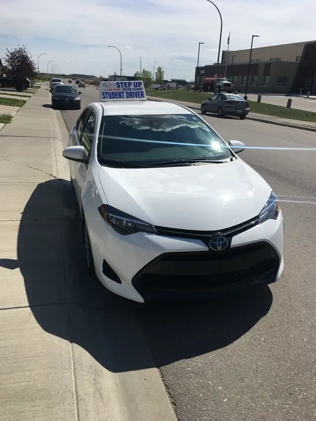 DRIVING LESSONS 