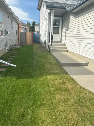 lawn care , View more