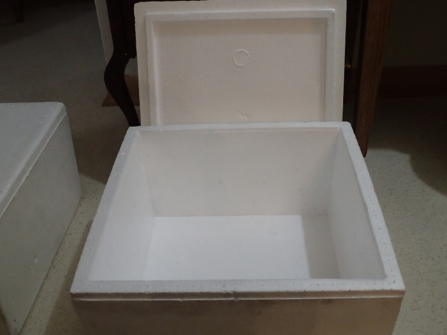Styrofoam Coolers in Fishing, Camping & Outdoors in Thunder Bay - Image 2