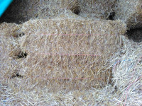 Straw for Sale