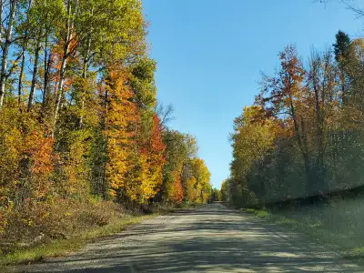 Private treed country lot. 5 minutes to cobden. 20 minutes to pembroke or renfrew. Near muskrst lake...