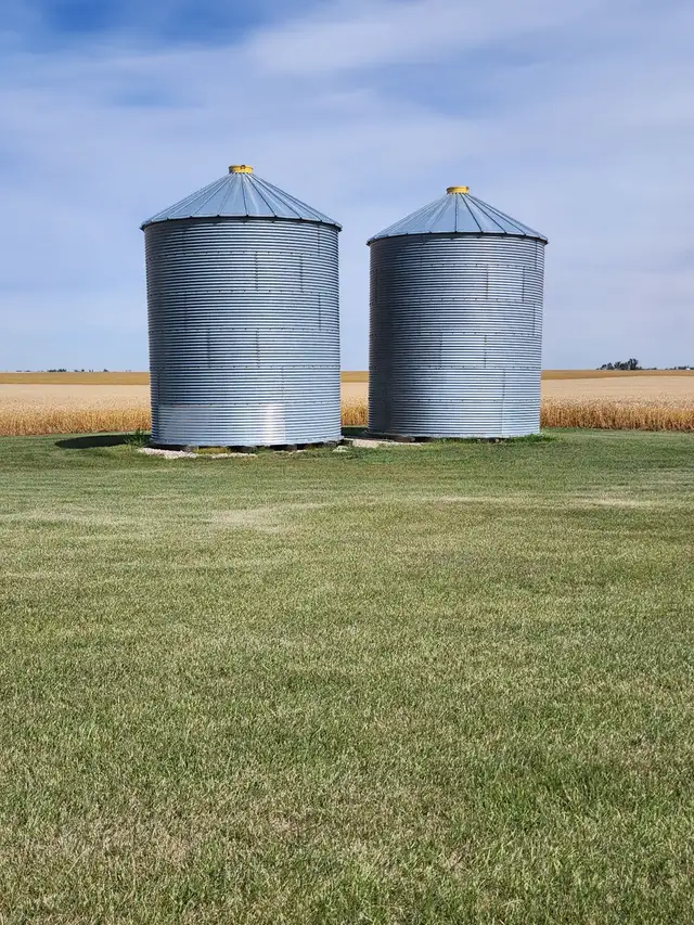 Steel Grain Bins
