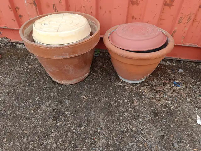 Terracotta plant pots