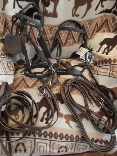 Miniature Horse  Bitless driving bridles and tack, View more