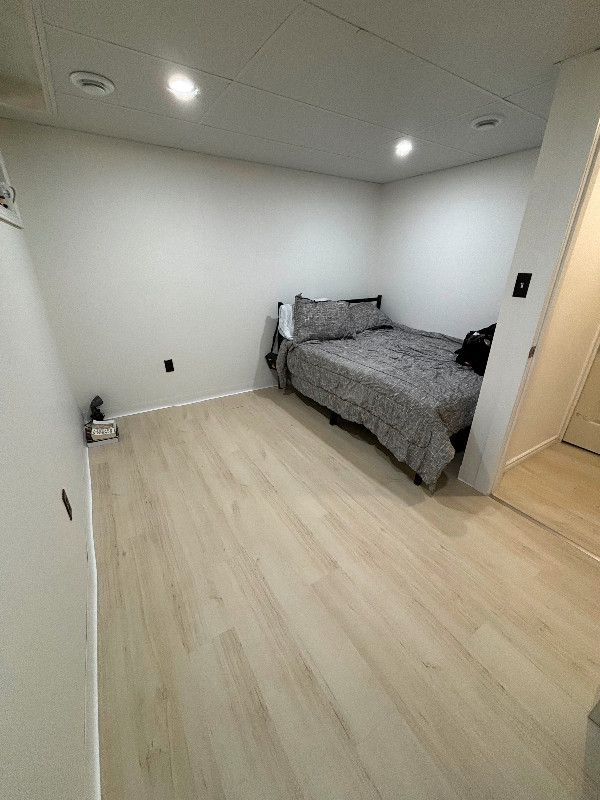 Room for Rent in Room Rentals & Roommates in Fredericton