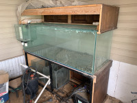180 gallon aquarium 