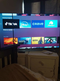 Tv sony bravia 55"