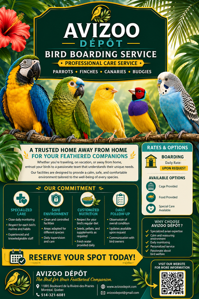 BIRD BOARDING SERVICE, View more