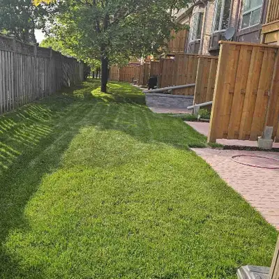 landscaping , View more