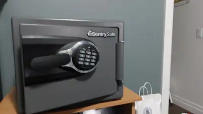 Sentry Fire and Water Safe for Sale, View more