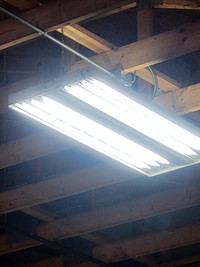 Troffer fixture hold 6 bulbs, can use LED T8 as bulbs.